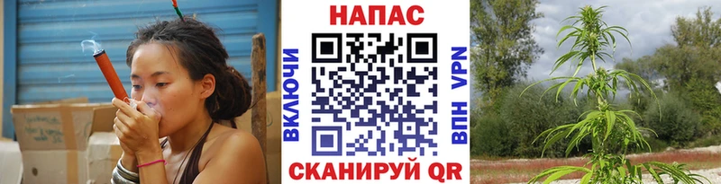 Цена Сортавала omg онион  Конопля  Меф  ГАШИШ 