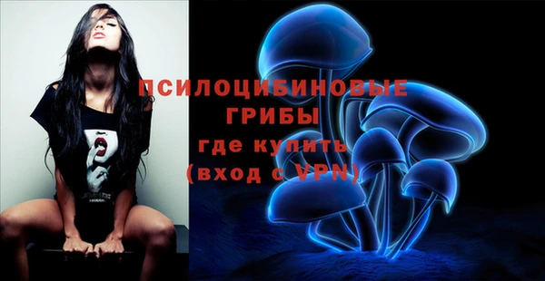 твердый Алексин