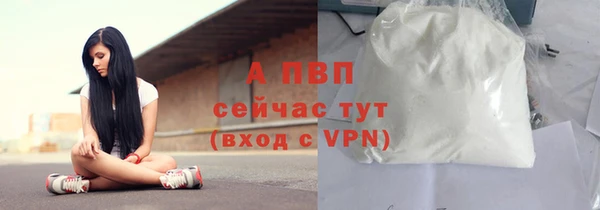 твердый Алексин