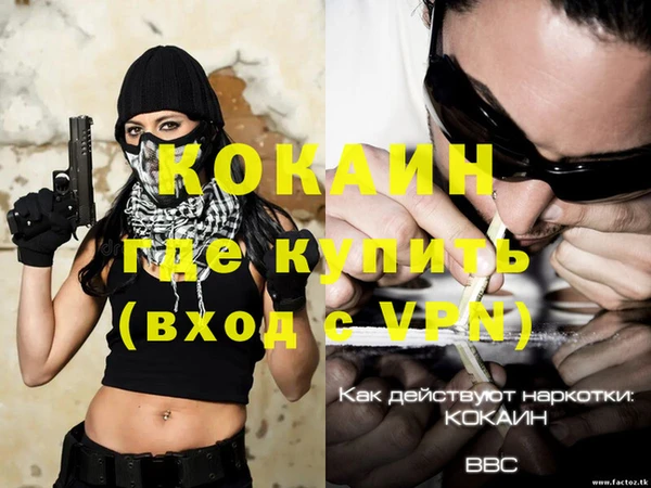 дживик Алзамай