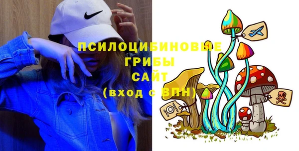 твердый Алексин