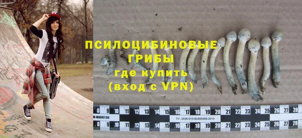 твердый Алексин